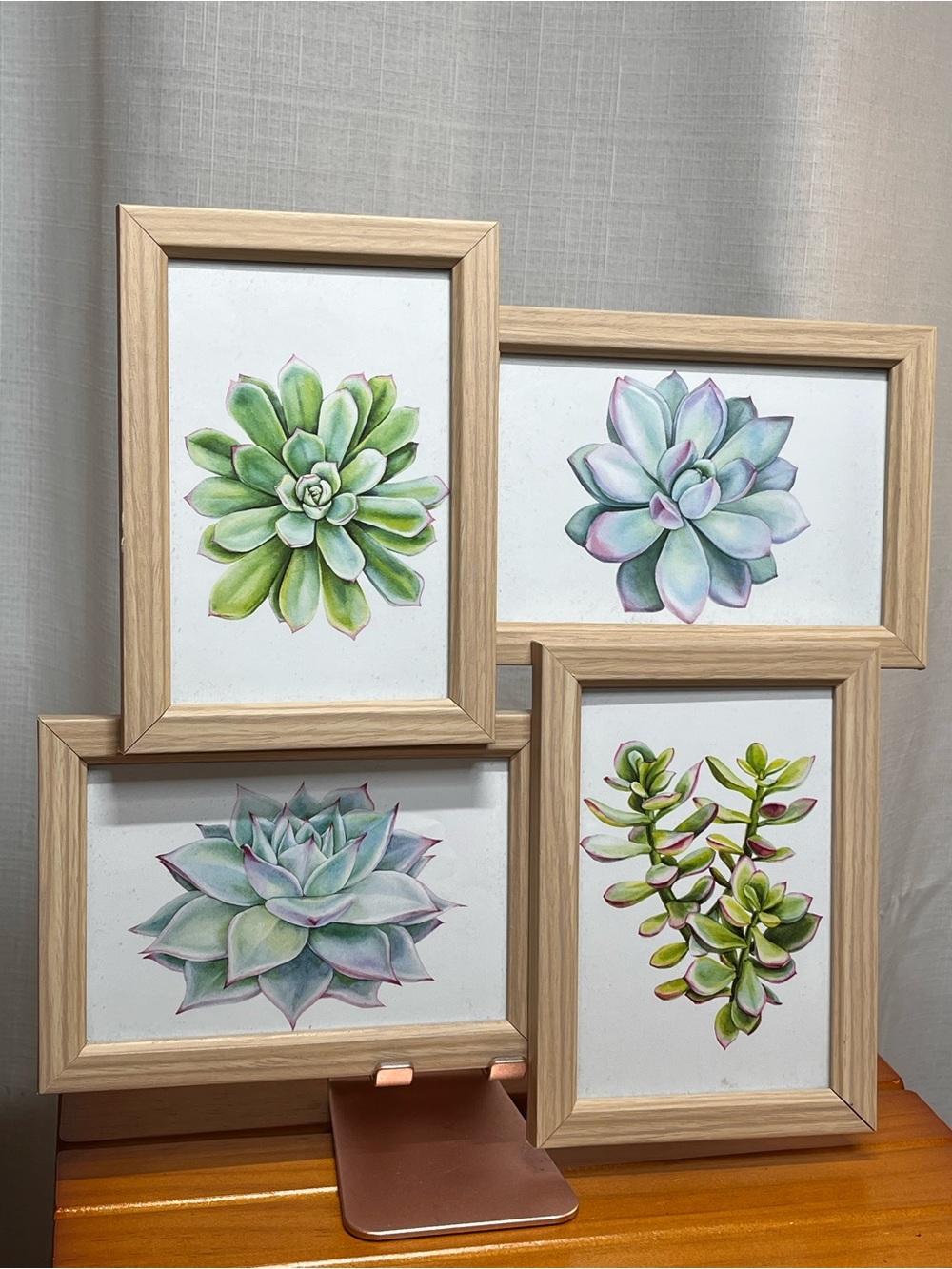 Framed Succulent Wall Art 4 Panel Collage 12x12 Wood Frame Botanical